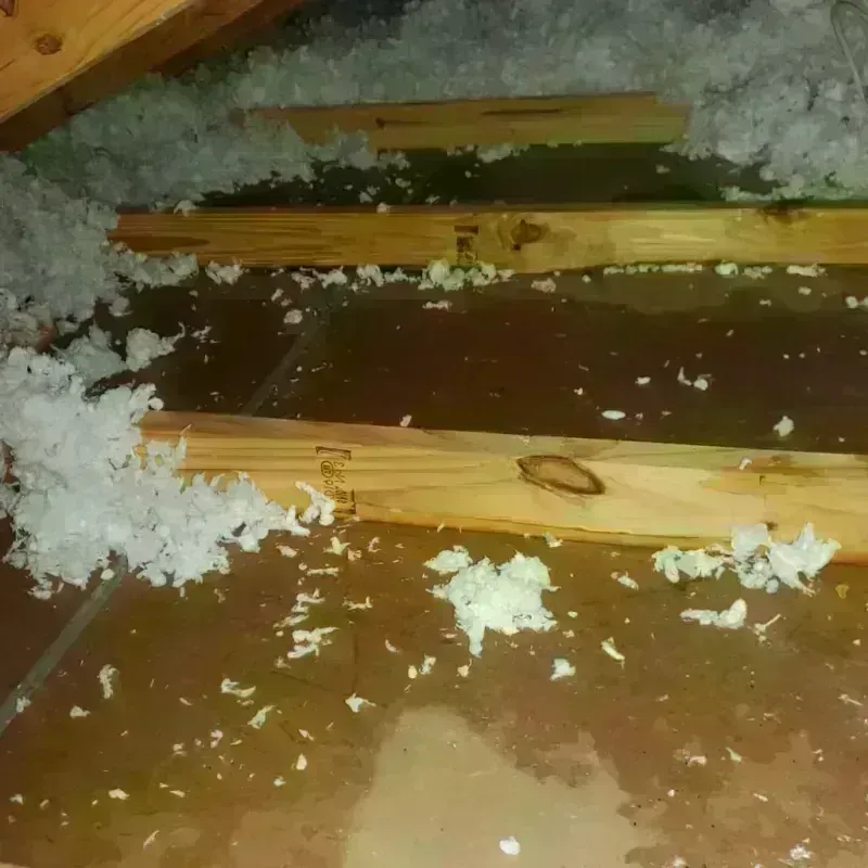 Attic Water Damage in Mora, PR